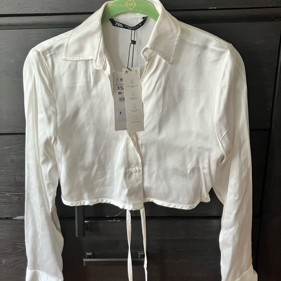 Button Down - Picture 3 of 3